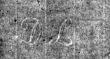 Wasserzeichen DE4815-DNB-L-WZ-0015205