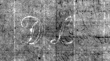 Wasserzeichen DE4815-DNB-L-WZ-0015216-wm1