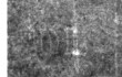 Wasserzeichen DE4815-DNB-L-WZ-0015306