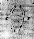 DE5580-Clm3756_3 - Typ:0 - ID: 137027 - Eintrag Nr.: 260 Wasserzeichen DE5580-Clm3756_3