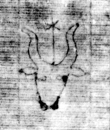 DE5580-Clm3822_68 - Typ:0 - ID: 137134 - Eintrag Nr.: 27 Wasserzeichen DE5580-Clm3822_68