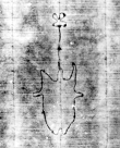 Wasserzeichen DE5580-Clm3866_106