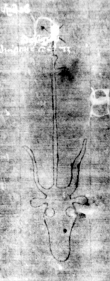 DE5580-Clm3875_23 - Typ:0 - ID: 137301 - Eintrag Nr.: 2 Wasserzeichen DE5580-Clm3875_23