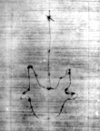 DE5580-Clm4009(1_16 - Typ:0 - ID: 137344 - Eintrag Nr.: 8 Wasserzeichen DE5580-Clm4009(1_16