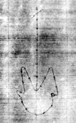 Wasserzeichen DE5580-Clm4009(1_18