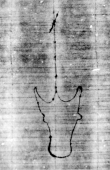 Wasserzeichen DE5580-Clm4014ab_13