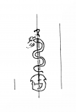 Wasserzeichen DE8100-CodTheol255_49