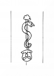 Wasserzeichen DE8100-CodTheol257_1365