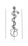 Wasserzeichen DE8100-CodTheol257_1403