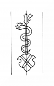 Wasserzeichen DE8100-CodTheol268_297