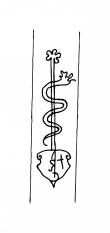 Wasserzeichen DE8100-CodTheol268_298