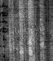 Wasserzeichen DE4820-Fleischer3_8