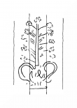 Wasserzeichen DE8100-CodTheol280_163