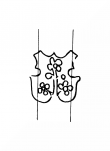 Wasserzeichen DE8100-CodTheol282_268