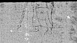 Wasserzeichen DE0960-MartiniV1_2