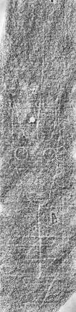 DE0960-Mlf304_198 - Typ:0 - ID: 137947 - Eintrag Nr.: 117 Wasserzeichen DE0960-Mlf304_198