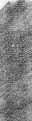DE0960-Mlf304_203 - Typ:0 - ID: 137948 - Eintrag Nr.: 118 Wasserzeichen DE0960-Mlf304_203