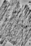 DE0960-Mlf294_56 - Typ:0 - ID: 138106 - Eintrag Nr.: 171 Wasserzeichen DE0960-Mlf294_56