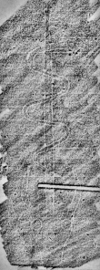 DE0960-Mlf292_5 - Typ:0 - ID: 138123 - Eintrag Nr.: 158 Wasserzeichen DE0960-Mlf292_5