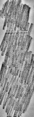 DE0960-Mlf292_3 - Typ:0 - ID: 138124 - Eintrag Nr.: 159 Wasserzeichen DE0960-Mlf292_3