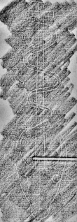 DE0960-Mlf292_14 - Typ:0 - ID: 138125 - Eintrag Nr.: 160 Wasserzeichen DE0960-Mlf292_14