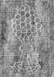 DE0960-Mlf292_56 - Typ:0 - ID: 138127 - Eintrag Nr.: 72 Wasserzeichen DE0960-Mlf292_56