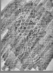 DE0960-Mlf292_62 - Typ:0 - ID: 138128 - Eintrag Nr.: 73 Wasserzeichen DE0960-Mlf292_62