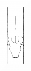 DE8310-Mc111_269 - Typ:0 - ID: 138772 - Eintrag Nr.: 134 Wasserzeichen DE8310-Mc111_269