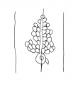 DE4860-Ms_1267_275 - Typ:0 - ID: 139136 - Eintrag Nr.: 16 Wasserzeichen DE4860-Ms_1267_275