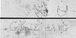 Wasserzeichen DE0960-SchubertF27_9