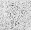DE0960-PolsterCA1M_IV - Typ:0 - ID: 139314 - Eintrag Nr.: 2 Wasserzeichen DE0960-PolsterCA1M_IV