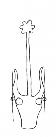 DE4860-Ed.vet.s.a.m.104_135 - Typ:0 - ID: 139477 - Eintrag Nr.: 162 Wasserzeichen DE4860-Ed.vet.s.a.m.104_135