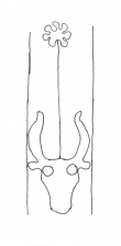 DE4860-Ed.vet.s.a.m.34-m_82 - Typ:0 - ID: 139530 - Eintrag Nr.: 6 Wasserzeichen DE4860-Ed.vet.s.a.m.34-m_82