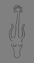 DE5580-Clm14553_274/283 - Typ:0 - ID: 139539 - Eintrag Nr.: 163 Wasserzeichen DE5580-Clm14553_274/283