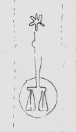 Wasserzeichen DE5580-Clm14554_179/190