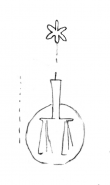 Wasserzeichen DE5580-Clm14554_181/188