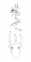 DE5580-Clm14571_60/65 - Typ:0 - ID: 139789 - Eintrag Nr.: 164 Wasserzeichen DE5580-Clm14571_60/65