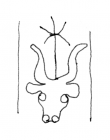 DE4860-Ms1510_30 - Typ:0 - ID: 139908 - Eintrag Nr.: 10 Wasserzeichen DE4860-Ms1510_30