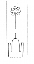 Wasserzeichen DE5580-Clm14607_28/33