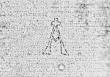 DE0960-BachP42_83 - Typ:0 - ID: 140178 - Eintrag Nr.: 1 Wasserzeichen DE0960-BachP42_83