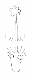 DE5580-Clm14639_168/175 - Typ:0 - ID: 140231 - Eintrag Nr.: 167 Wasserzeichen DE5580-Clm14639_168/175