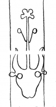 Wasserzeichen DE5580-Clm14654_241/244