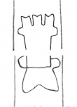 Wasserzeichen DE5580-Clm14657_14/23