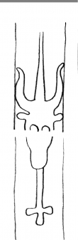 Wasserzeichen DE5580-Clm14665_5/8