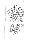 Wasserzeichen DE5580-Clm14670_8/9