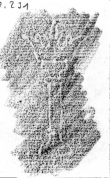 DE5580-Clm6502_231 - Typ:0 - ID: 140934 - Eintrag Nr.: 27 Wasserzeichen DE5580-Clm6502_231
