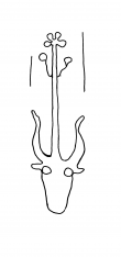 DE4860-Ms402_3 - Typ:0 - ID: 141776 - Eintrag Nr.: 3 Wasserzeichen DE4860-Ms402_3