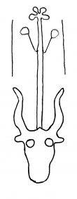 DE4860-Ms402_9 - Typ:0 - ID: 141779 - Eintrag Nr.: 4 Wasserzeichen DE4860-Ms402_9