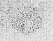 DE0960-ReichardtJF25_3r - Typ:0 - ID: 141841 - Eintrag Nr.: 58 Wasserzeichen DE0960-ReichardtJF25_3r