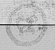 Wasserzeichen DE0960-Teschner1M_118r